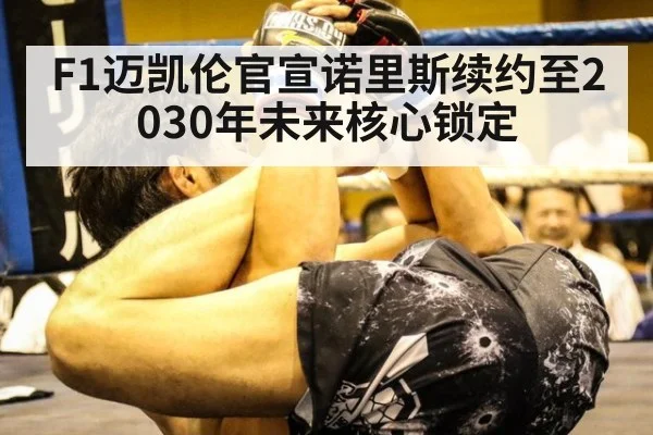 F1迈凯伦官宣诺里斯续约至2030年未来核心锁定