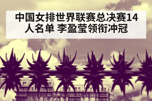 中国女排世界联赛总决赛14人名单 李盈莹领衔冲冠